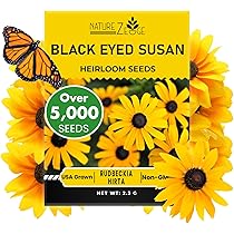 sabbatical⭐︎GILIA SABBATICAL GILIA Sandstone – WAFUU JAPAN